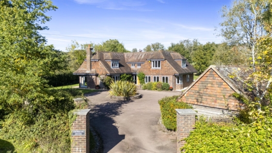 Broadmere Common, Henfield